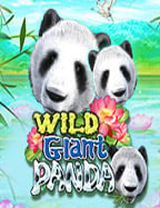 เล่นแบบทดลอง ล ง maxbet กับค่ายดัง โอ้โห! มันส์มาก