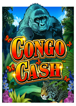 เว็บ แทง มวยไทย สูตรเด็ดไม่ควรพลาด